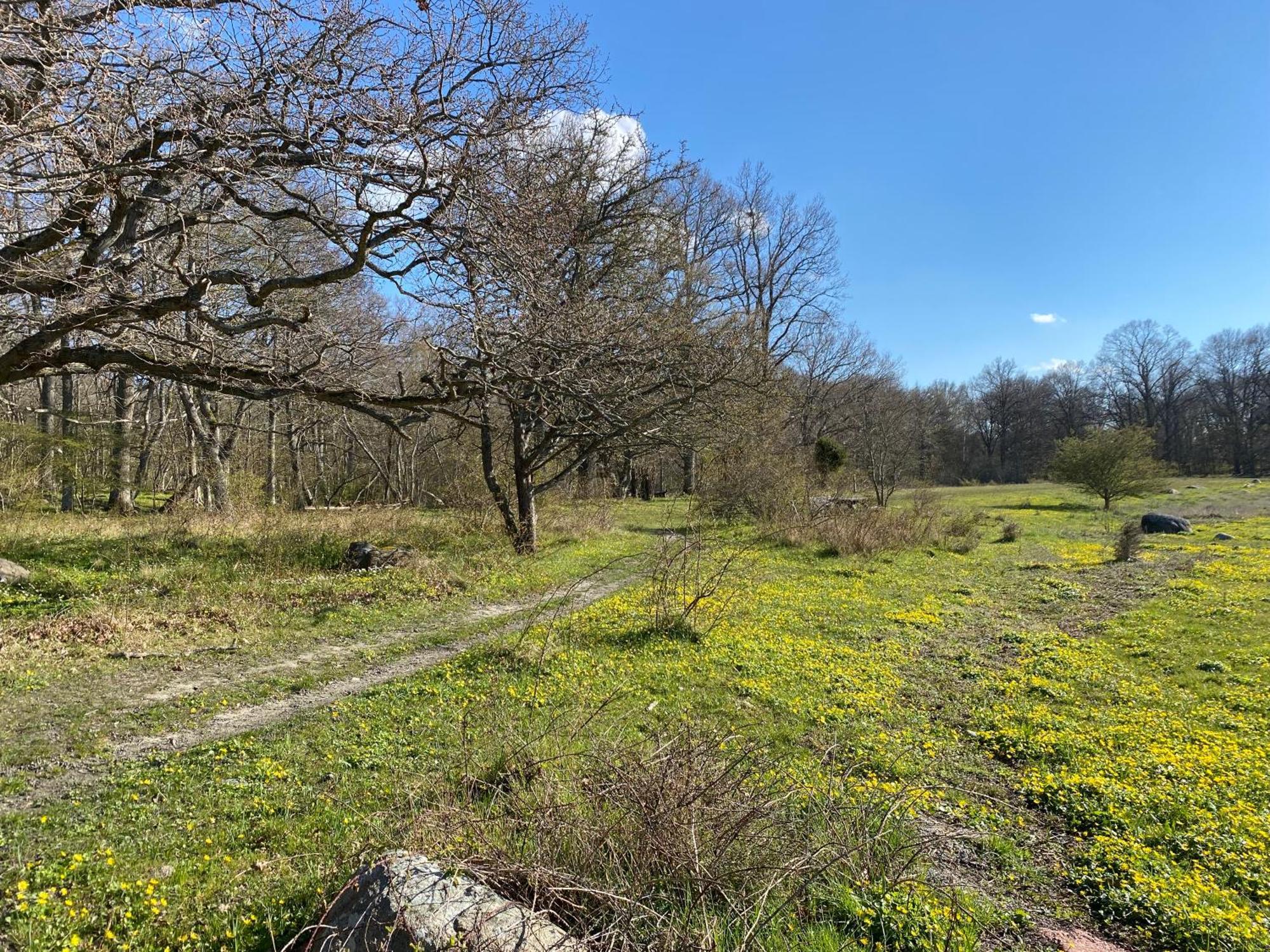 Gard Halltorps Hage Borgholm Exterior foto